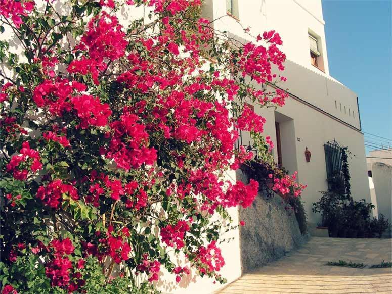 Jardines Del Mar Salobrena Apartment Bagian luar foto